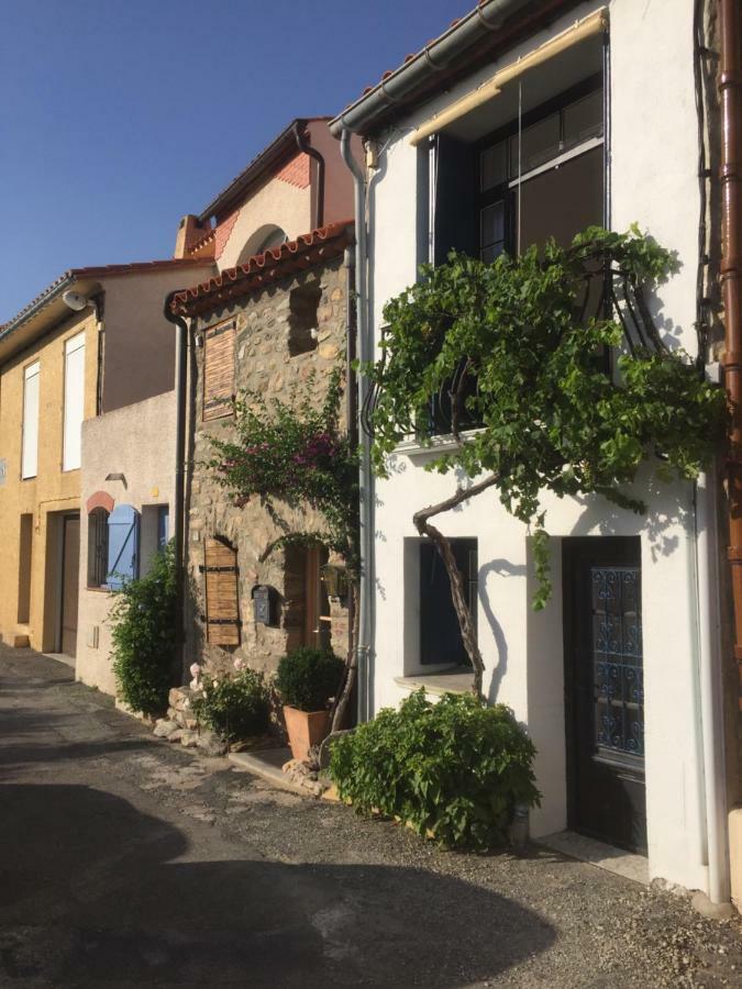 La Maison Blanche Aux Volets Blues Laroque-des-Albères Εξωτερικό φωτογραφία